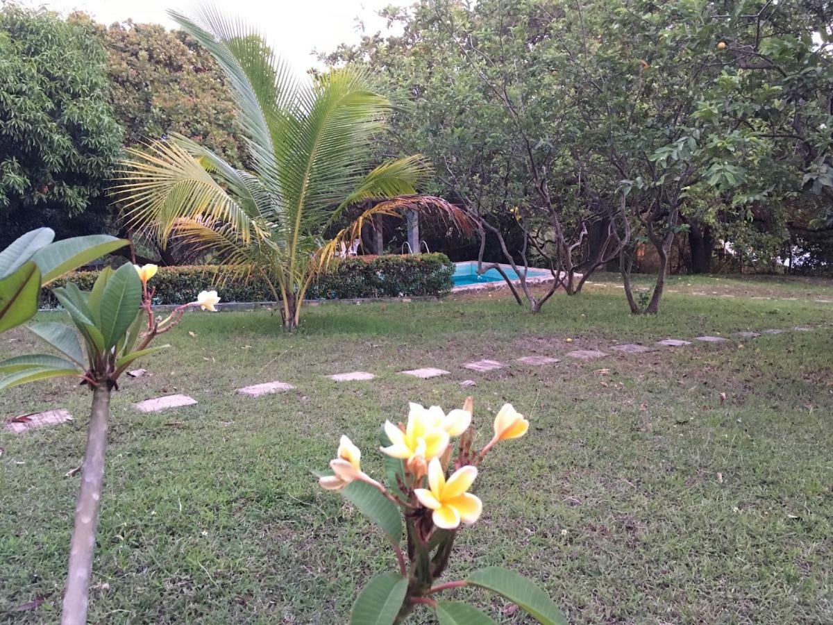 Native House With Beautiful Pool Villa Bagac ภายนอก รูปภาพ
